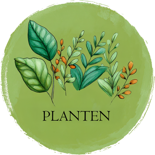 Abonnement Planten